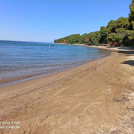 Squirrels, Home With View Metamorfosi (Sithonia) Exterior foto