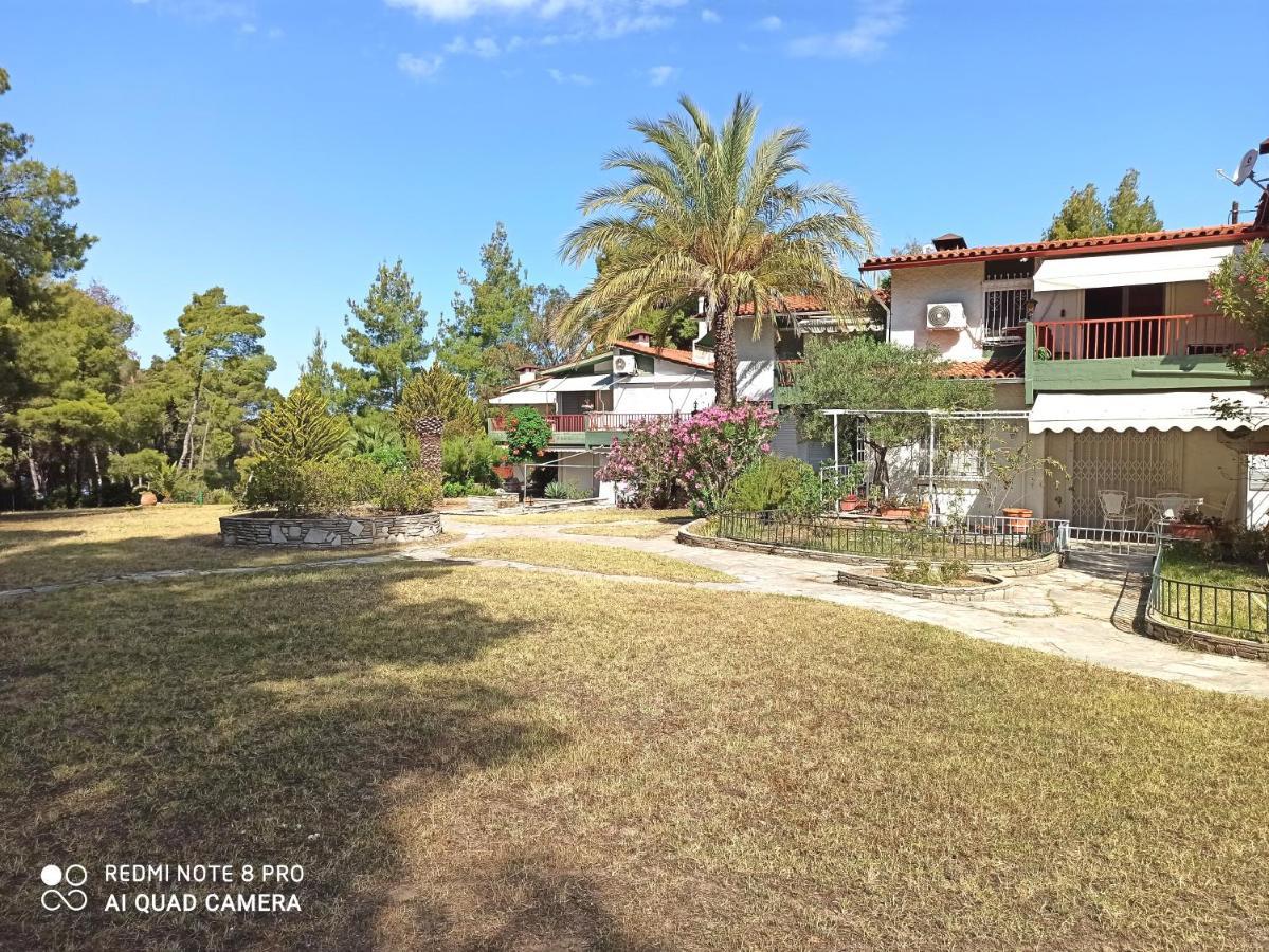 Squirrels, Home With View Metamorfosi (Sithonia) Exterior foto