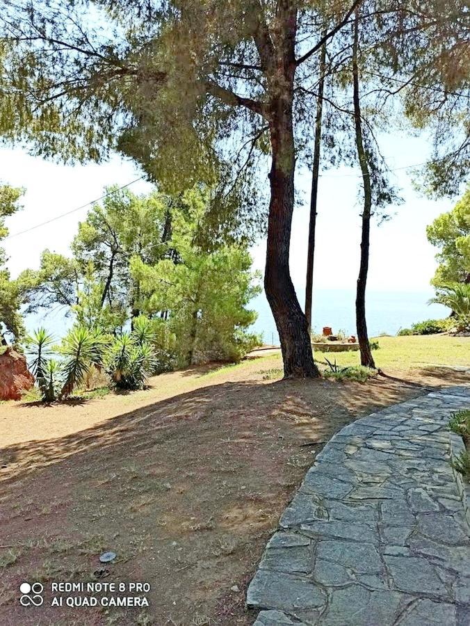 Squirrels, Home With View Metamorfosi (Sithonia) Exterior foto