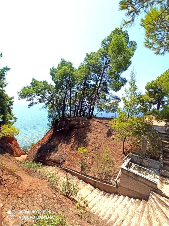 Squirrels, Home With View Metamorfosi (Sithonia) Exterior foto