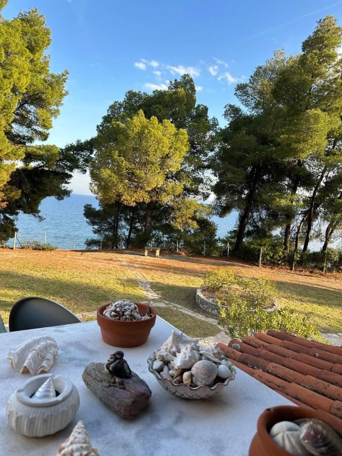 Squirrels, Home With View Metamorfosi (Sithonia) Exterior foto