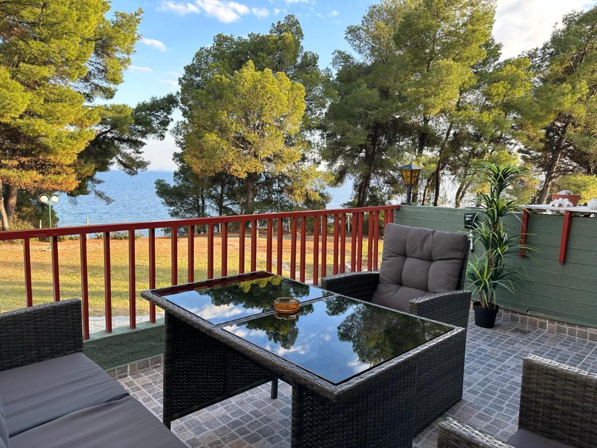 Squirrels, Home With View Metamorfosi (Sithonia) Exterior foto