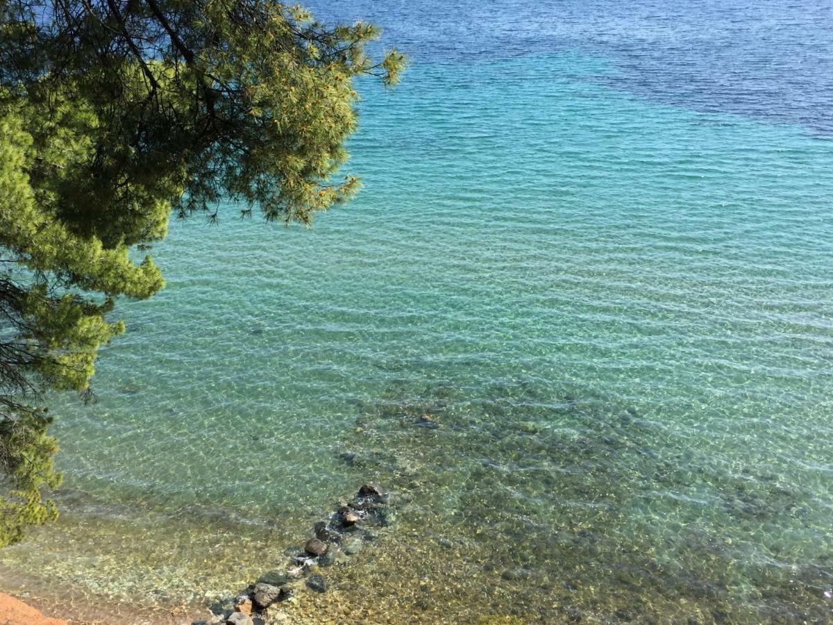 Squirrels, Home With View Metamorfosi (Sithonia) Exterior foto