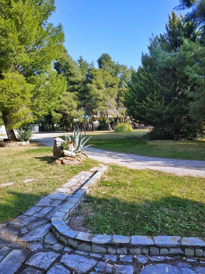 Squirrels, Home With View Metamorfosi (Sithonia) Exterior foto