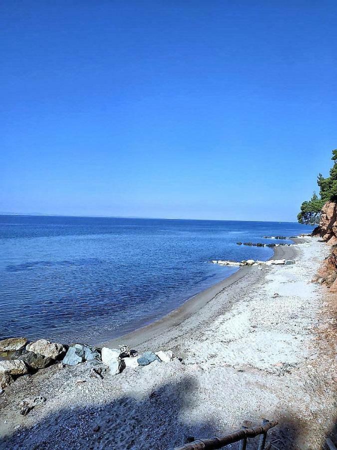 Squirrels, Home With View Metamorfosi (Sithonia) Exterior foto